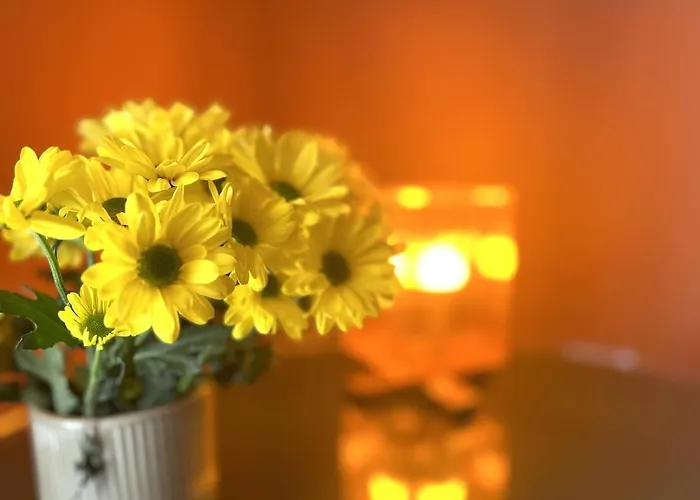 Istria Apartamento Bari